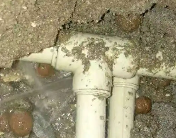 登封测漏水多少钱