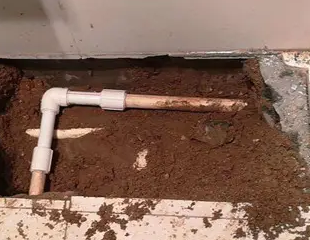 登封测漏水哪家好