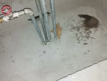 登封卫生间测漏水价格明细