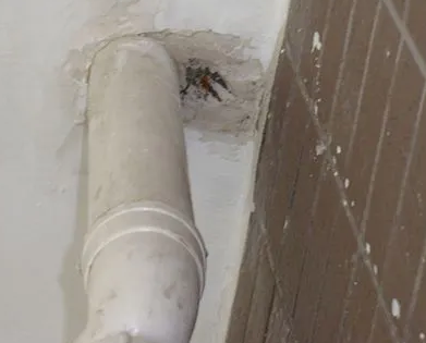 登封漏水检测哪家好